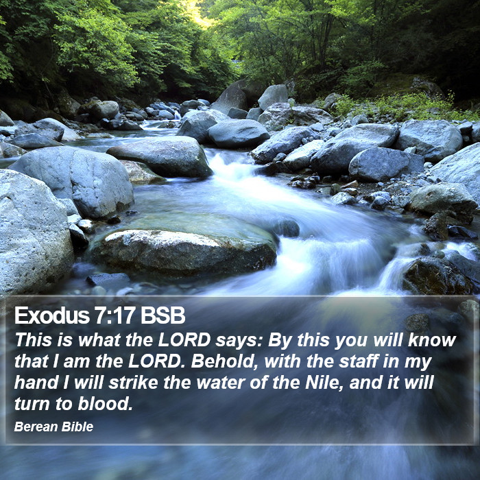 Exodus 7:17 BSB Bible Study