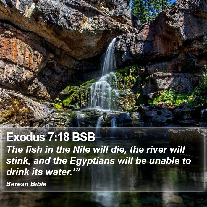 Exodus 7:18 BSB Bible Study