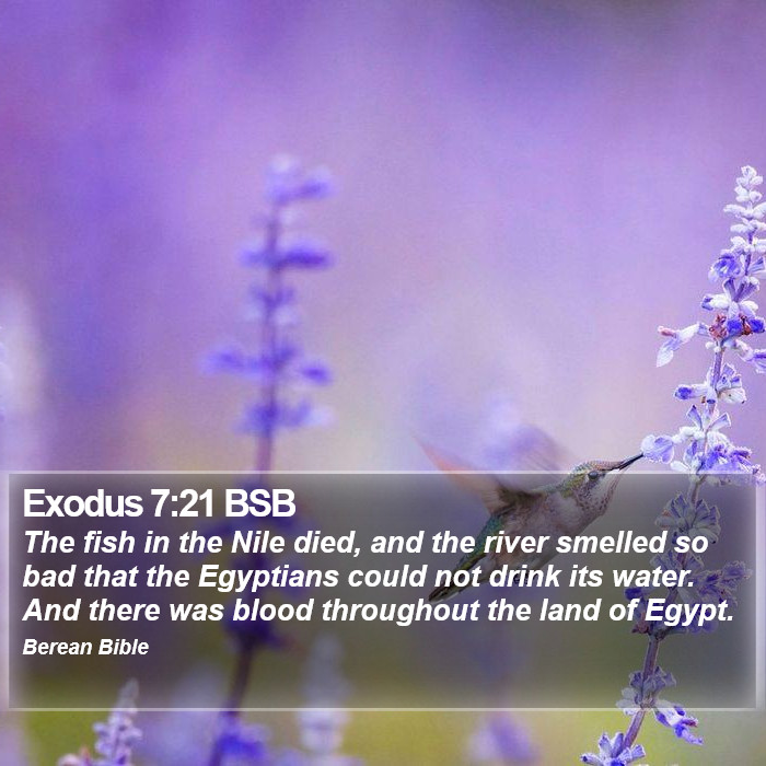 Exodus 7:21 BSB Bible Study