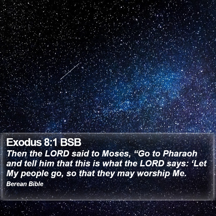 Exodus 8:1 BSB Bible Study