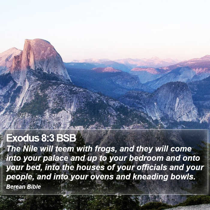 Exodus 8:3 BSB Bible Study