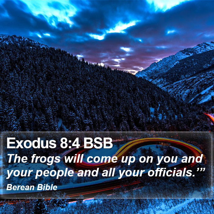 Exodus 8:4 BSB Bible Study