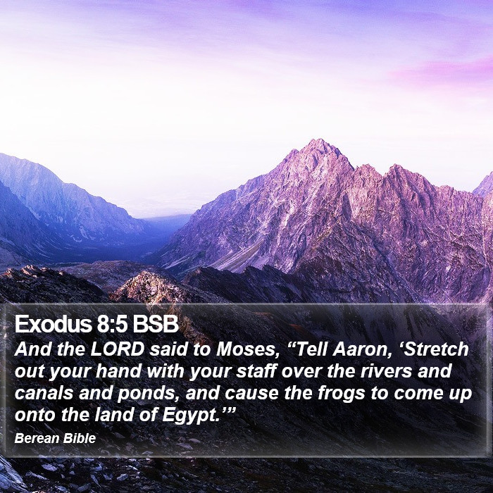 Exodus 8:5 BSB Bible Study