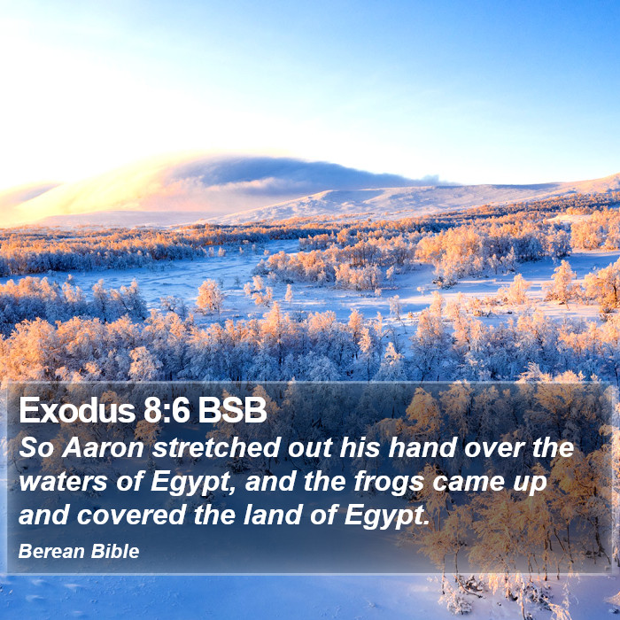 Exodus 8:6 BSB Bible Study