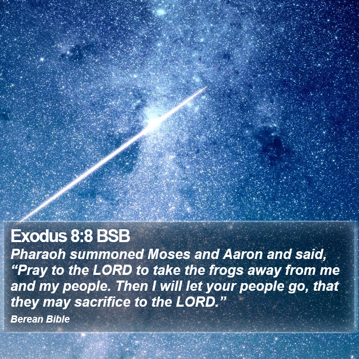 Exodus 8:8 BSB Bible Study