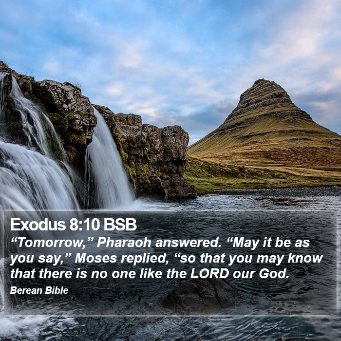 Exodus 8:10 BSB Bible Study