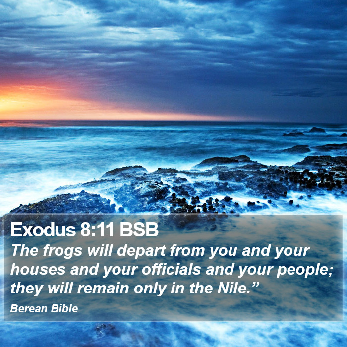 Exodus 8:11 BSB Bible Study