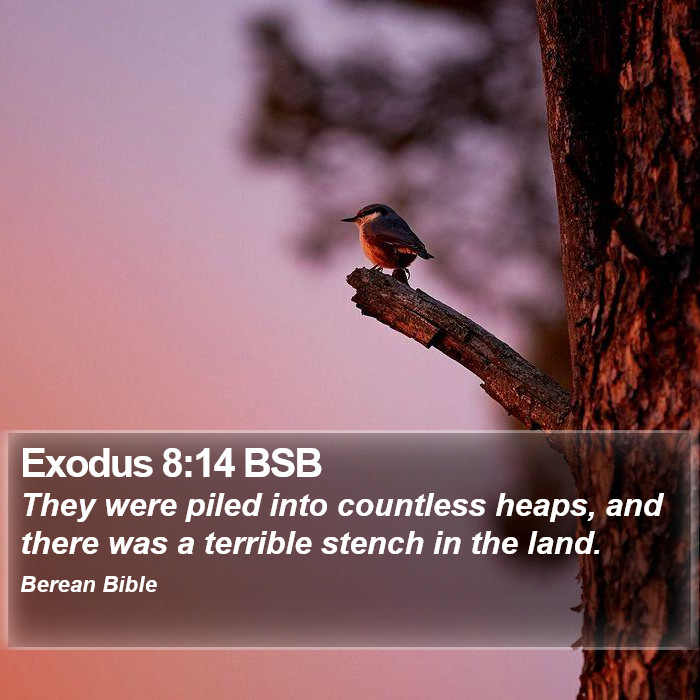 Exodus 8:14 BSB Bible Study