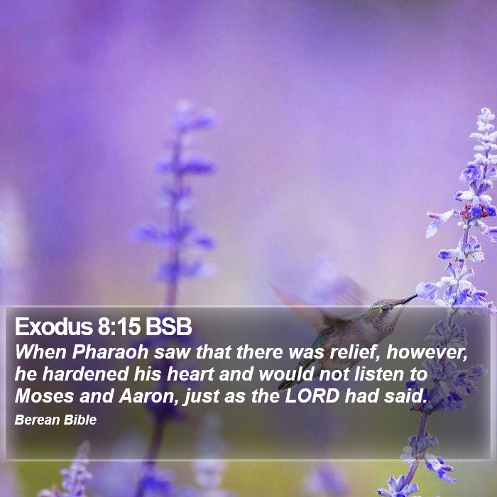 Exodus 8:15 BSB Bible Study