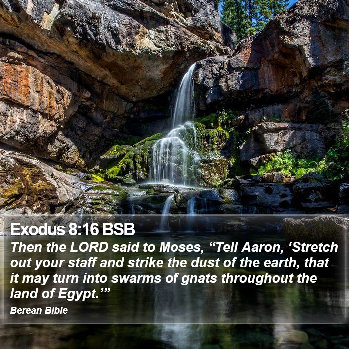 Exodus 8:16 BSB Bible Study