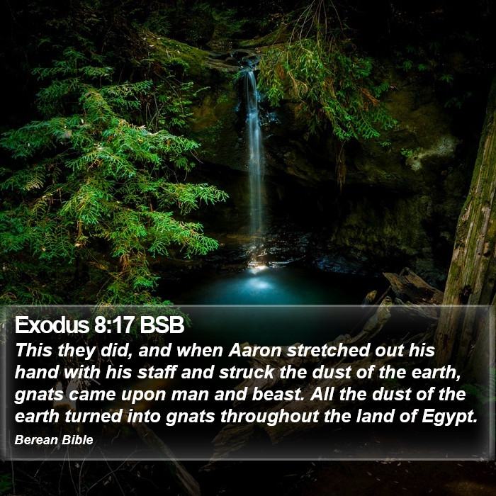 Exodus 8:17 BSB Bible Study