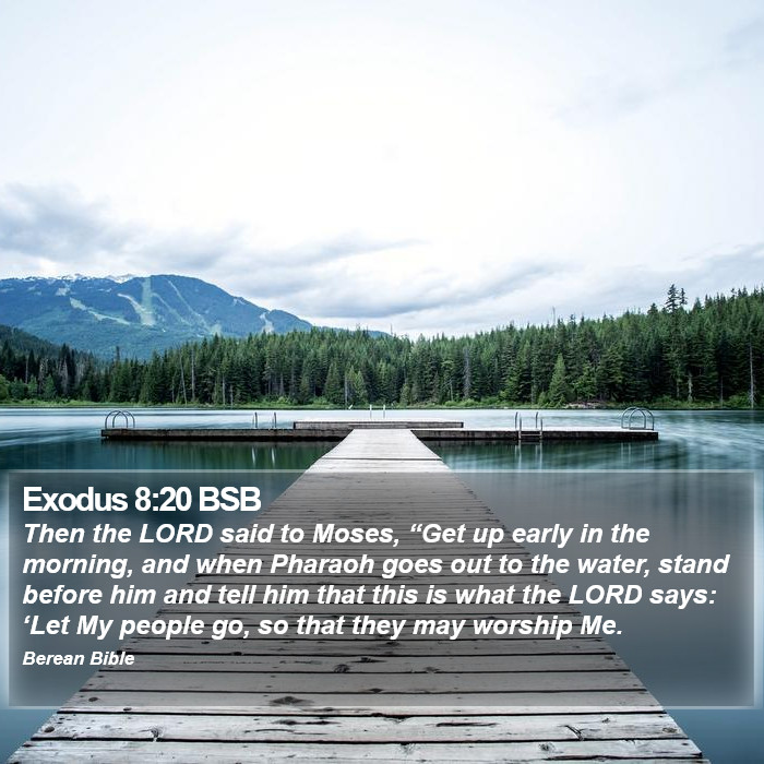 Exodus 8:20 BSB Bible Study