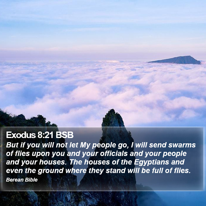 Exodus 8:21 BSB Bible Study