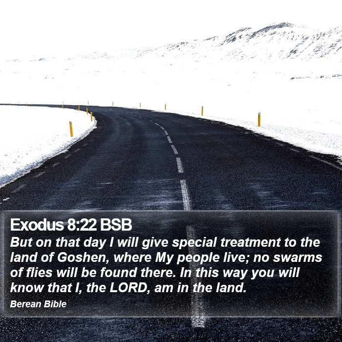 Exodus 8:22 BSB Bible Study