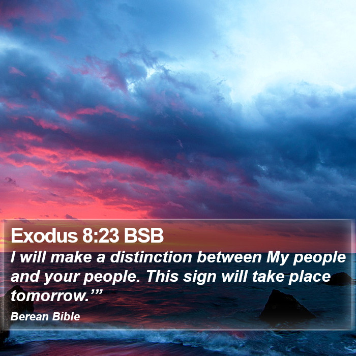 Exodus 8:23 BSB Bible Study