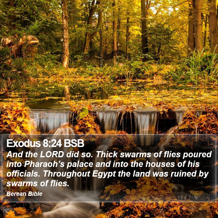 Exodus 8:24 BSB Bible Study