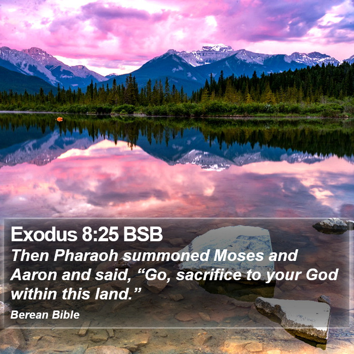 Exodus 8:25 BSB Bible Study