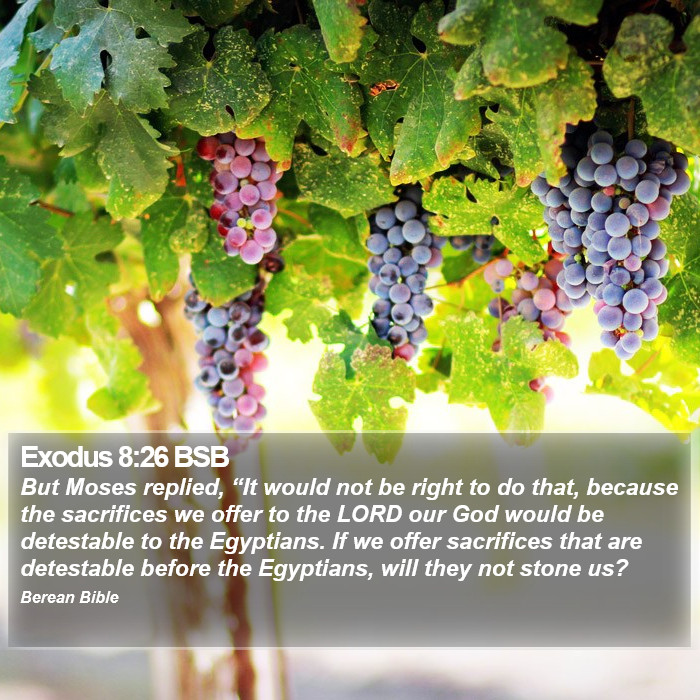 Exodus 8:26 BSB Bible Study