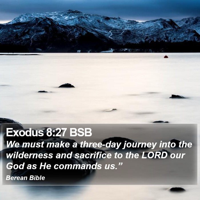 Exodus 8:27 BSB Bible Study