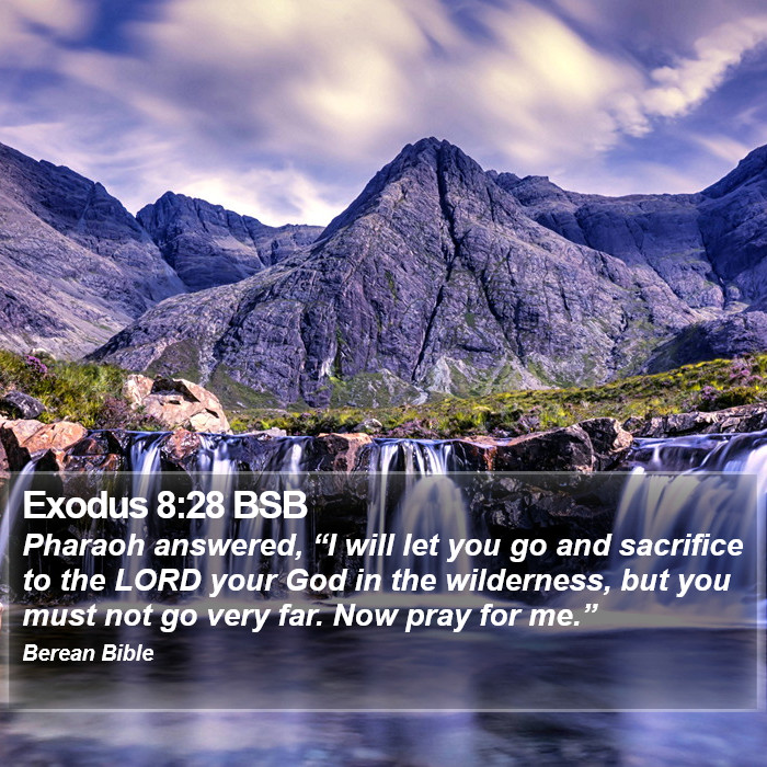 Exodus 8:28 BSB Bible Study