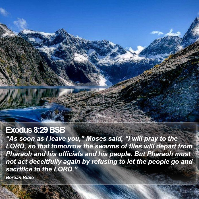 Exodus 8:29 BSB Bible Study