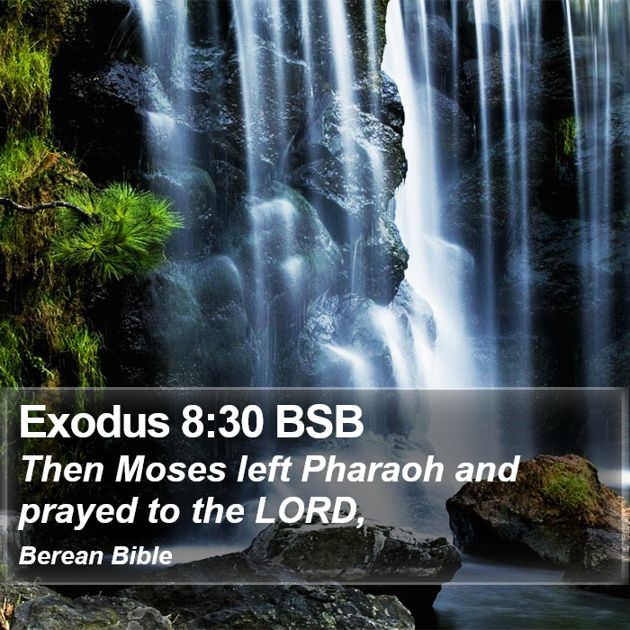 Exodus 8:30 BSB Bible Study