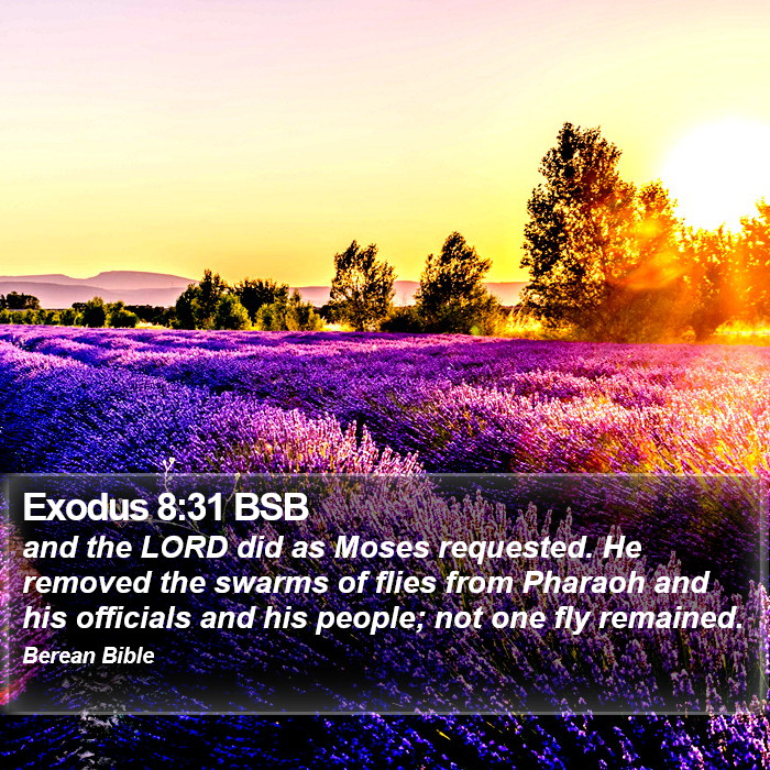 Exodus 8:31 BSB Bible Study