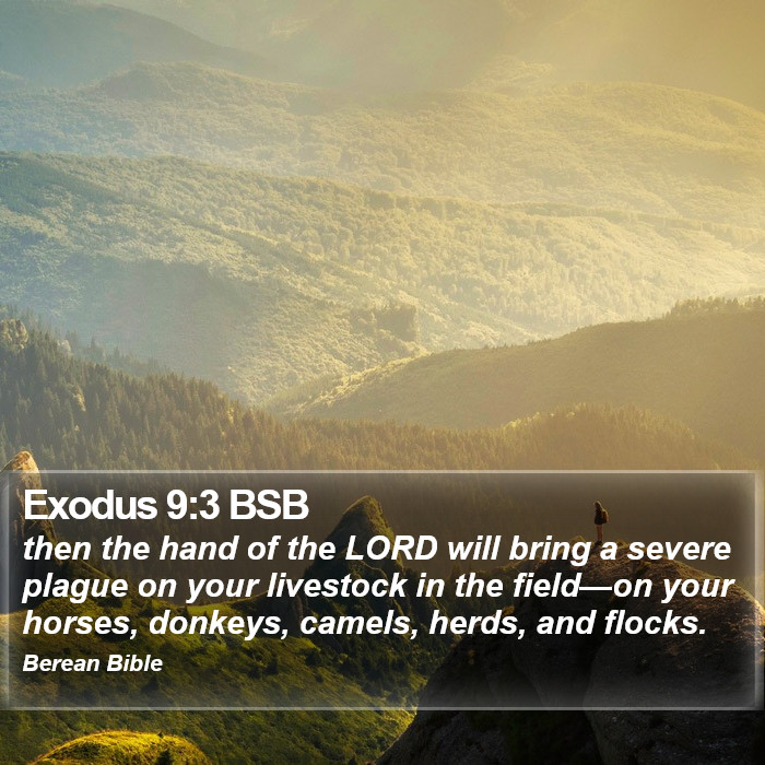 Exodus 9:3 BSB Bible Study