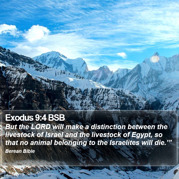 Exodus 9:4 BSB Bible Study