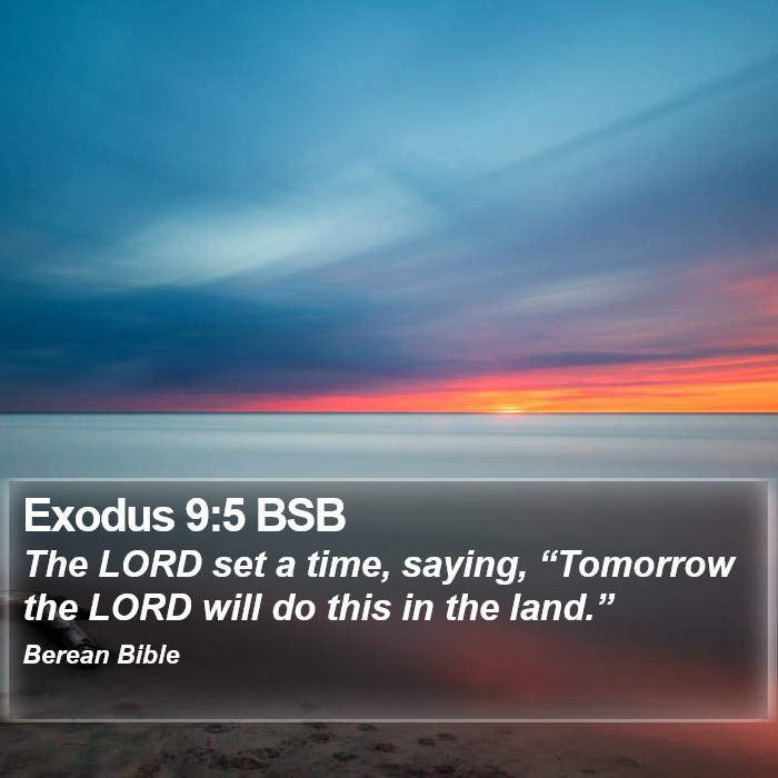 Exodus 9:5 BSB Bible Study