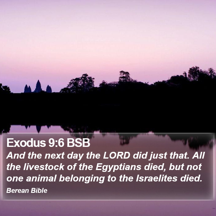 Exodus 9:6 BSB Bible Study