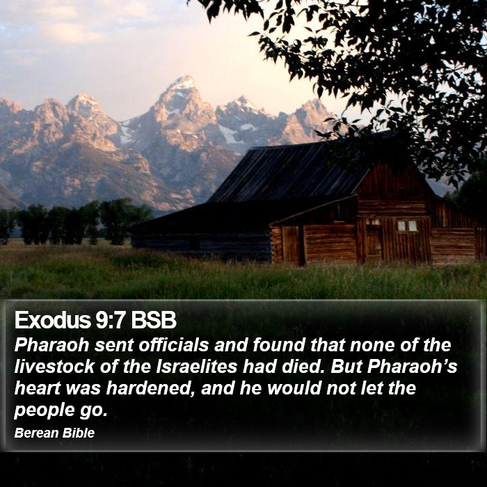 Exodus 9:7 BSB Bible Study