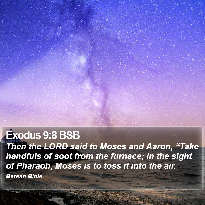 Exodus 9:8 BSB Bible Study