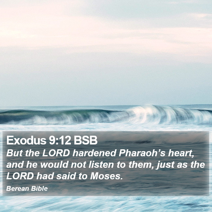 Exodus 9:12 BSB Bible Study