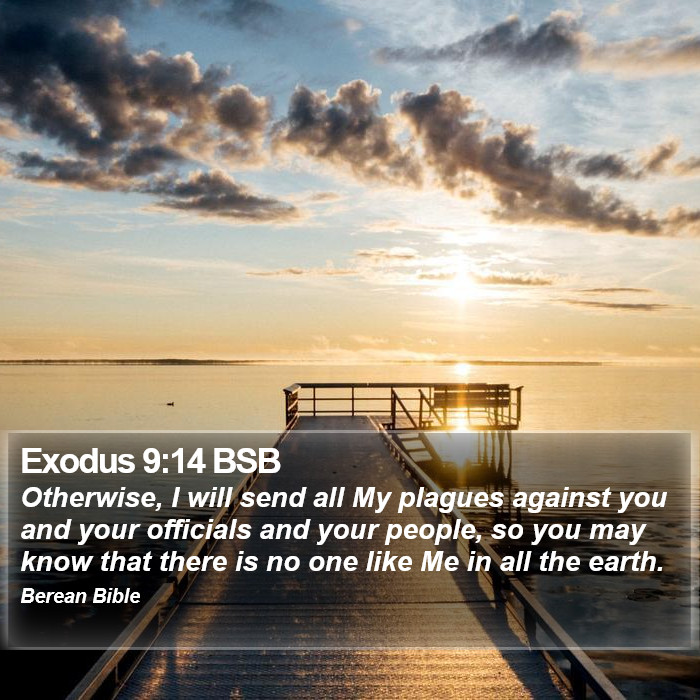 Exodus 9:14 BSB Bible Study