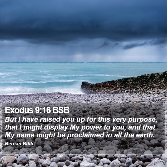 Exodus 9:16 BSB Bible Study