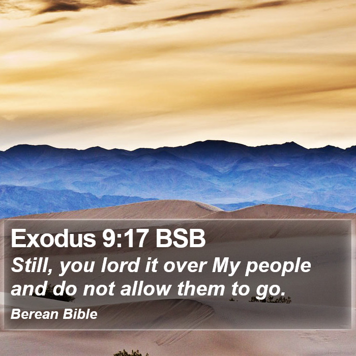 Exodus 9:17 BSB Bible Study