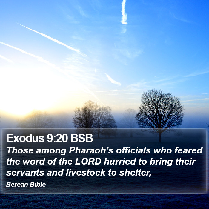 Exodus 9:20 BSB Bible Study