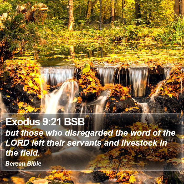 Exodus 9:21 BSB Bible Study