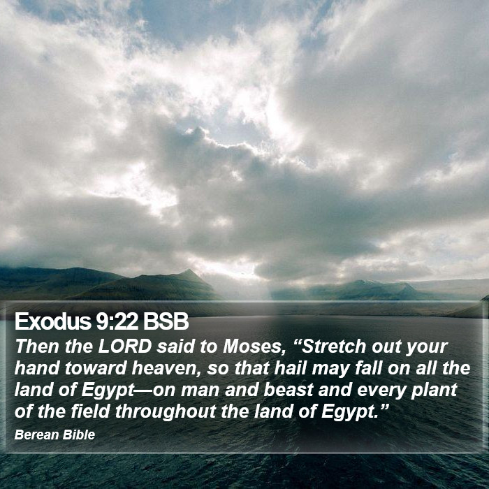 Exodus 9:22 BSB Bible Study