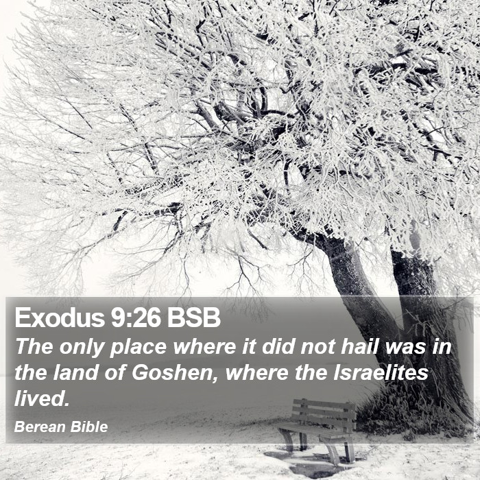 Exodus 9:26 BSB Bible Study