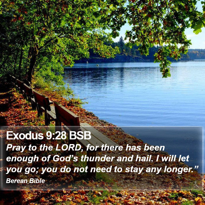 Exodus 9:28 BSB Bible Study