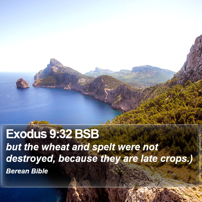 Exodus 9:32 BSB Bible Study