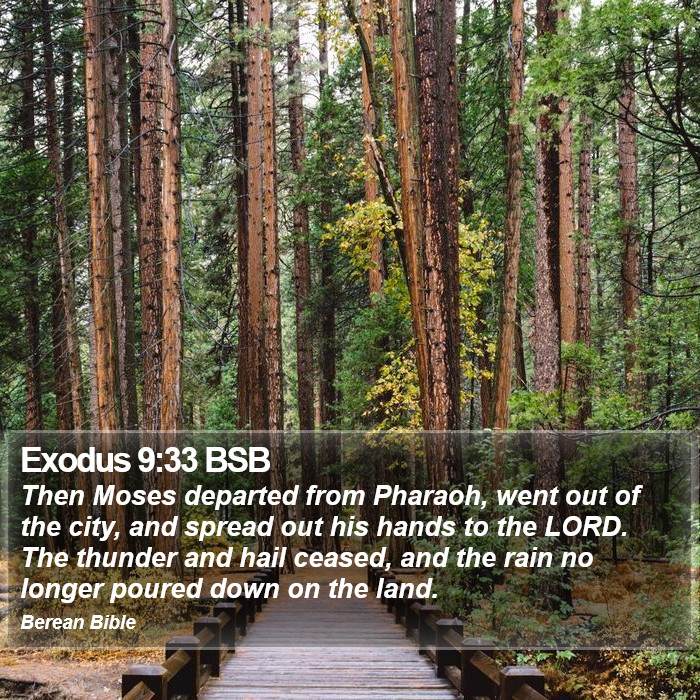 Exodus 9:33 BSB Bible Study