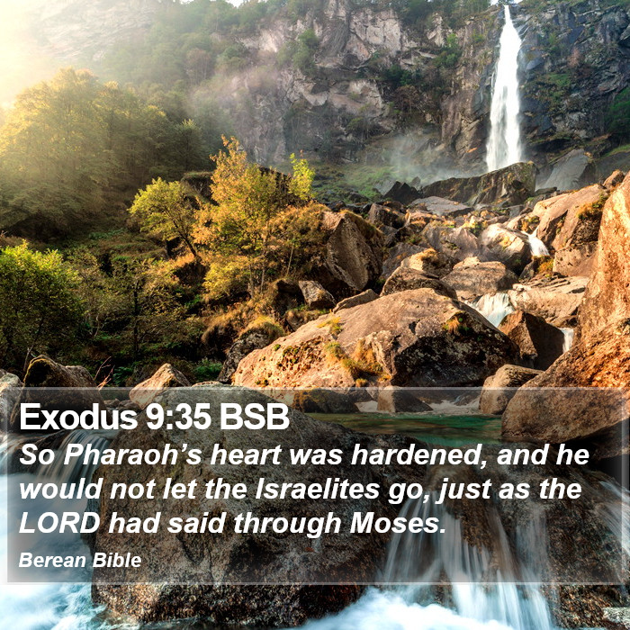 Exodus 9:35 BSB Bible Study