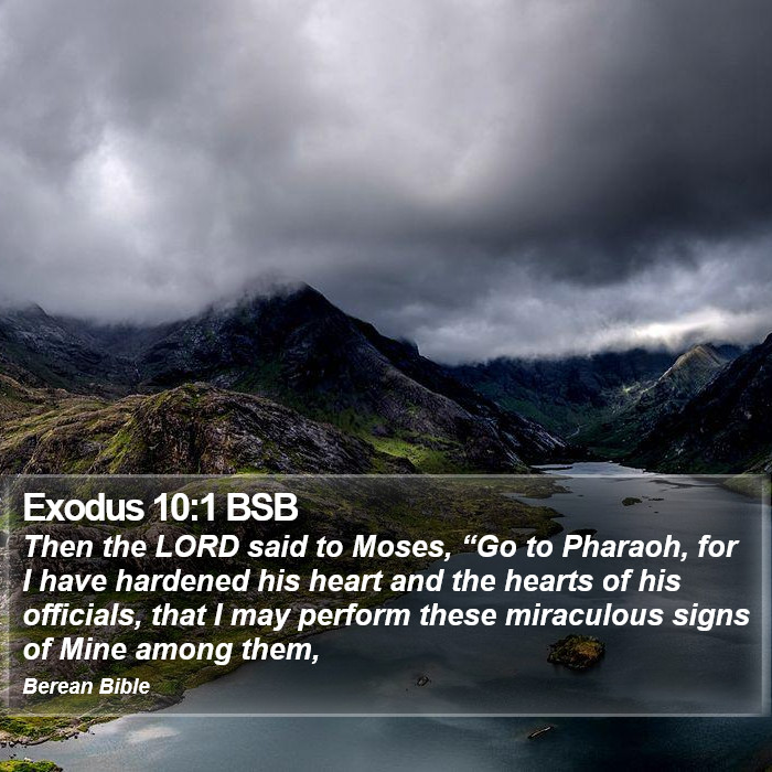 Exodus 10:1 BSB Bible Study