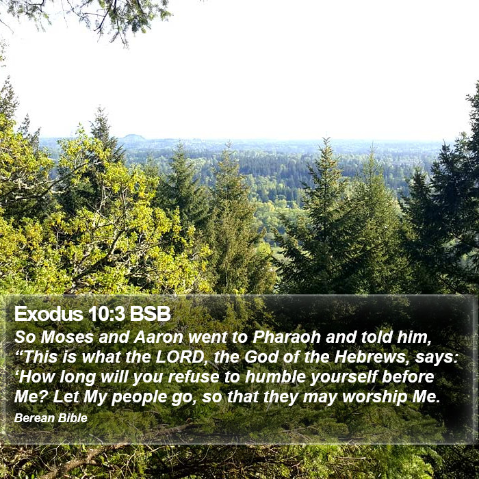 Exodus 10:3 BSB Bible Study