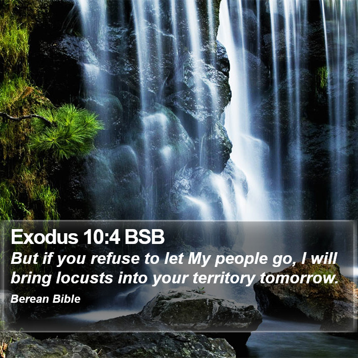 Exodus 10:4 BSB Bible Study