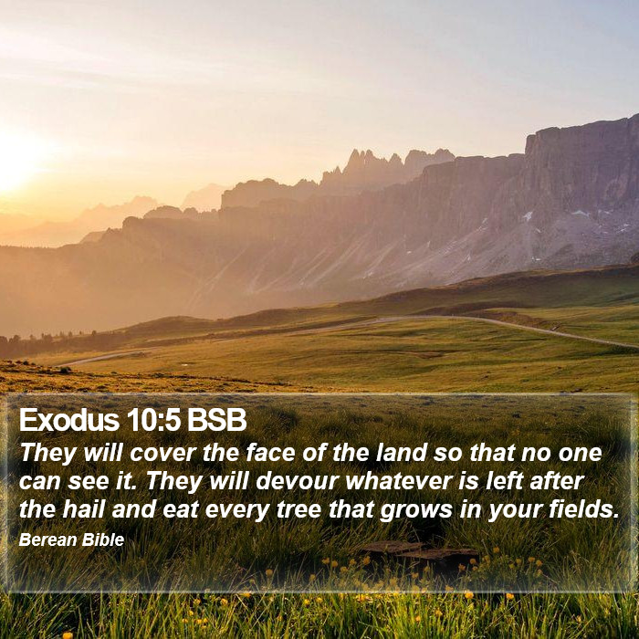 Exodus 10:5 BSB Bible Study