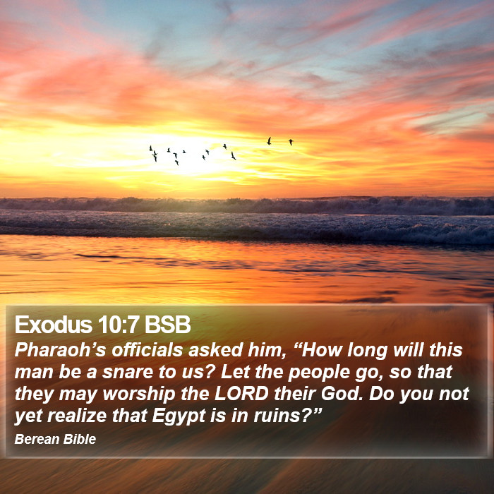 Exodus 10:7 BSB Bible Study